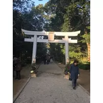 りな