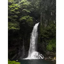 ハヅキ