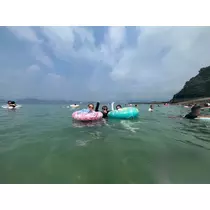 ハル