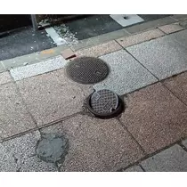 ひな