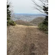 橘 美咲
