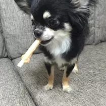 みあ