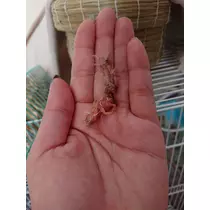 ちよママ