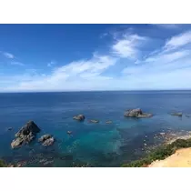 成海 まお