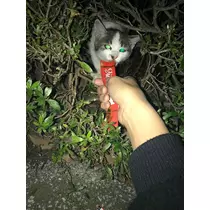 ティナ