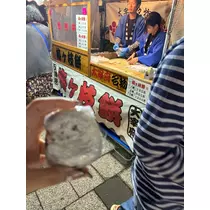 みか
