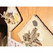 猫羽 のん