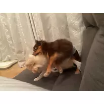 みらい