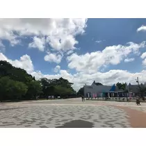 藤咲 りな