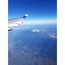 りか