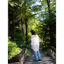 あんじゅ
