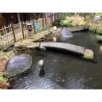 姫花