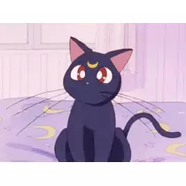 せりな