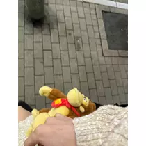 はな