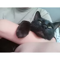 こは
