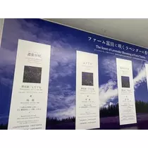 長瀬 純恋