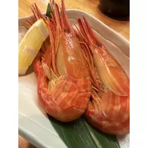 白石 愛莉
