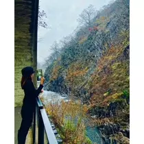 ゆかり