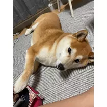 みり