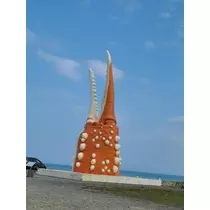 ひな