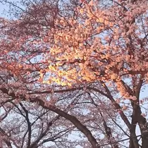じゅん