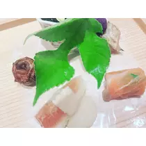 田中 美緒