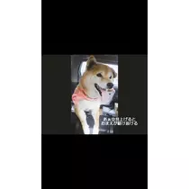優月