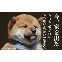 美波 なつ
