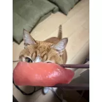 ゆり