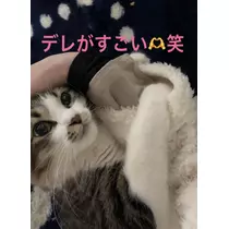 翠