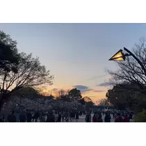 ぴの