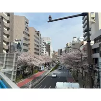 空条 しいな