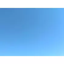 ゆき