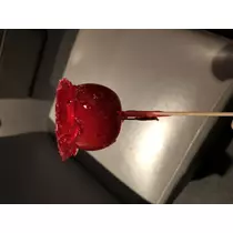 宝條 夏恋