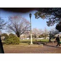 コウ