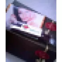 紫音
