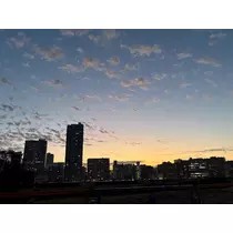 咲良 水月
