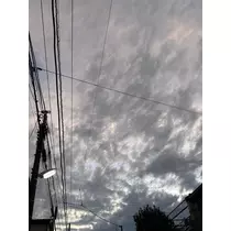 しずか