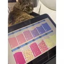 華宮 れい