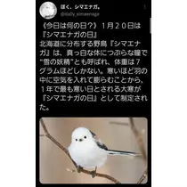 ひな