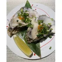 司