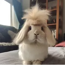みれい