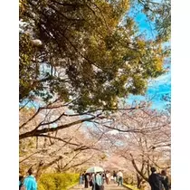 ゆかり