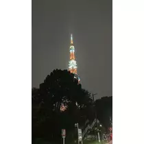 マヤ