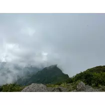橘 美咲