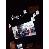 七星 夏純