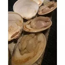 長瀬 純恋