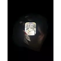 かびるんるんさわ