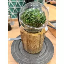 山田 華蓮