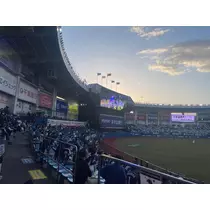 りん